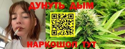 сатива Кулебаки