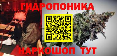сатива Кулебаки